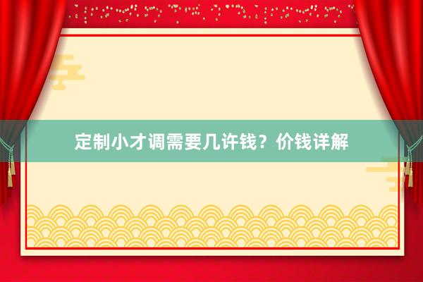 定制小才调需要几许钱？价钱详解
