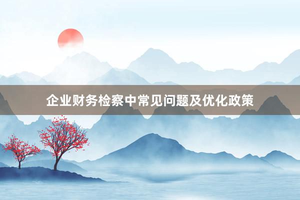 企业财务检察中常见问题及优化政策